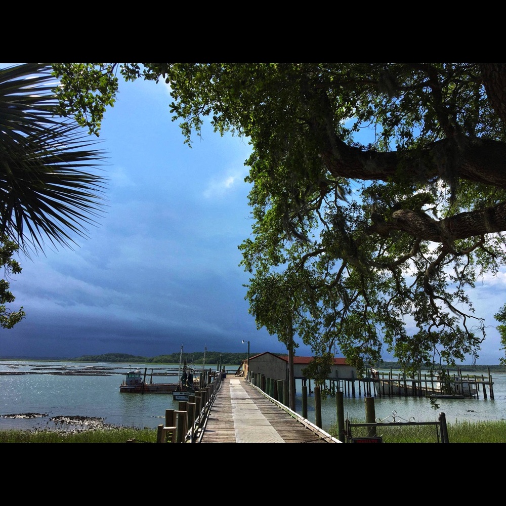 Meet your Posher, Lilly